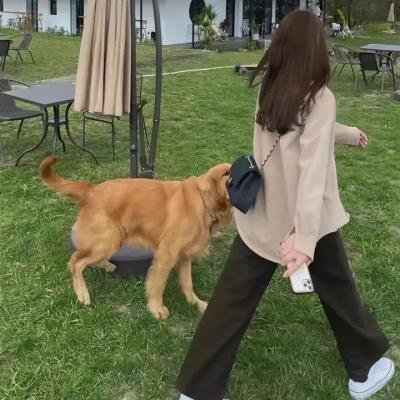 致命控诉